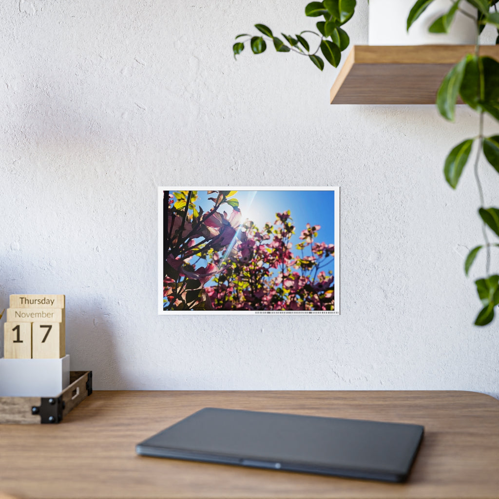 Blooming Spring Gloss Poster Art Print