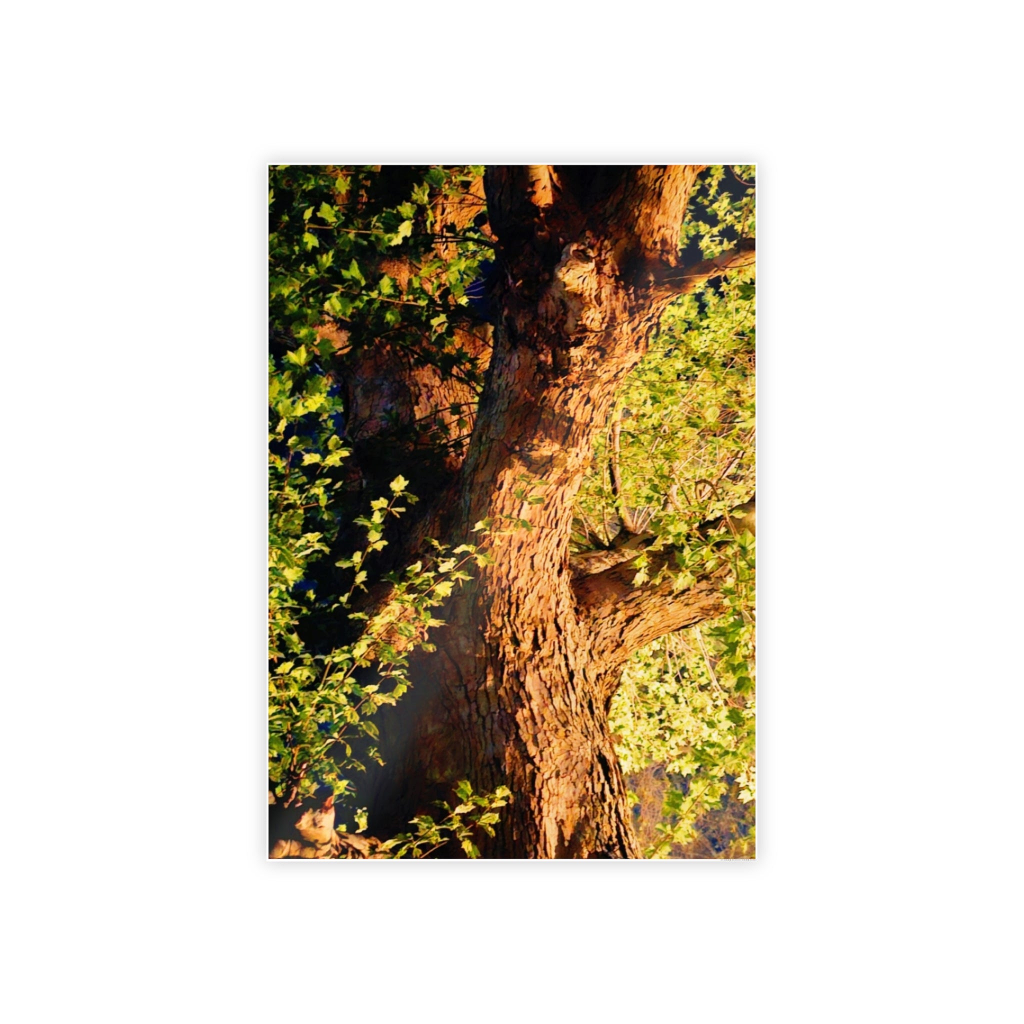 Nature-Inspired Gloss Poster Art