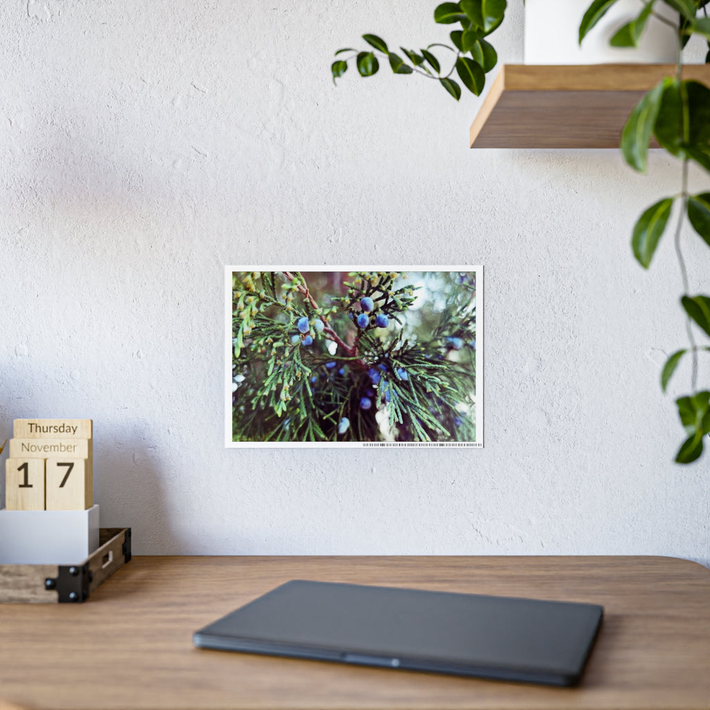 Glossy Nature Posters