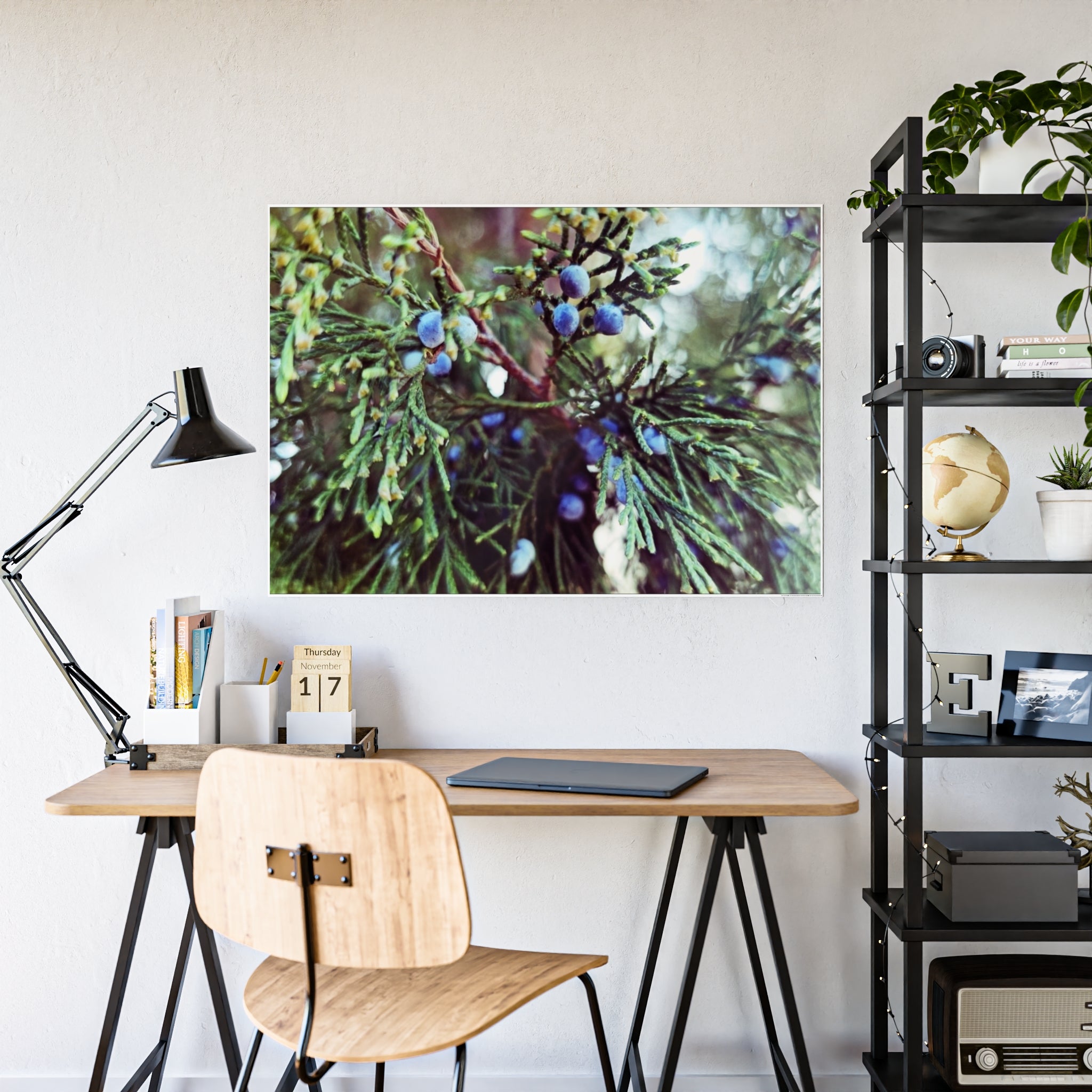 Glossy Nature Posters