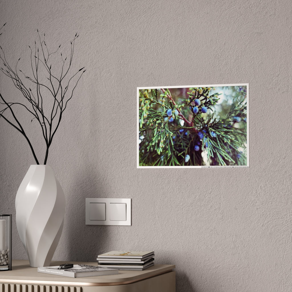Glossy Nature Posters