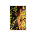 Nature-Inspired Gloss Poster Art