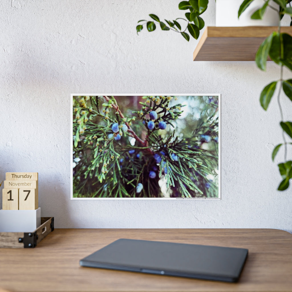 Glossy Nature Posters