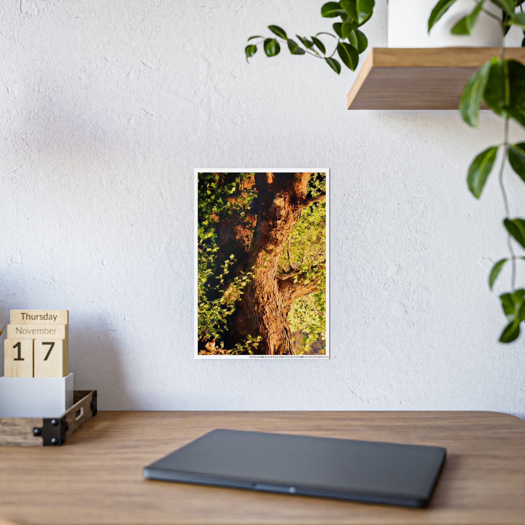 Nature-Inspired Gloss Poster Art