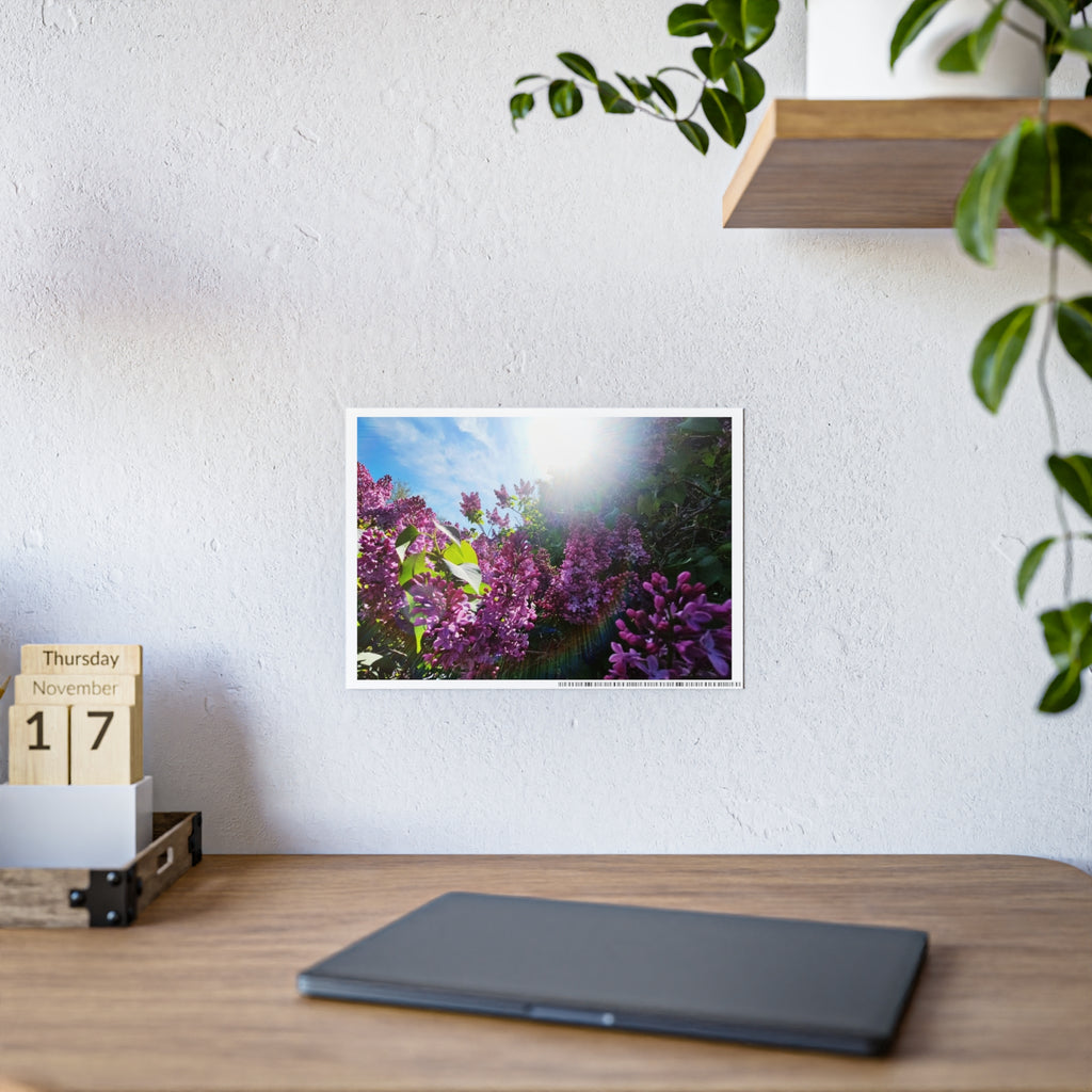 Vibrant Floral Gloss Posters, Art for Home Decor