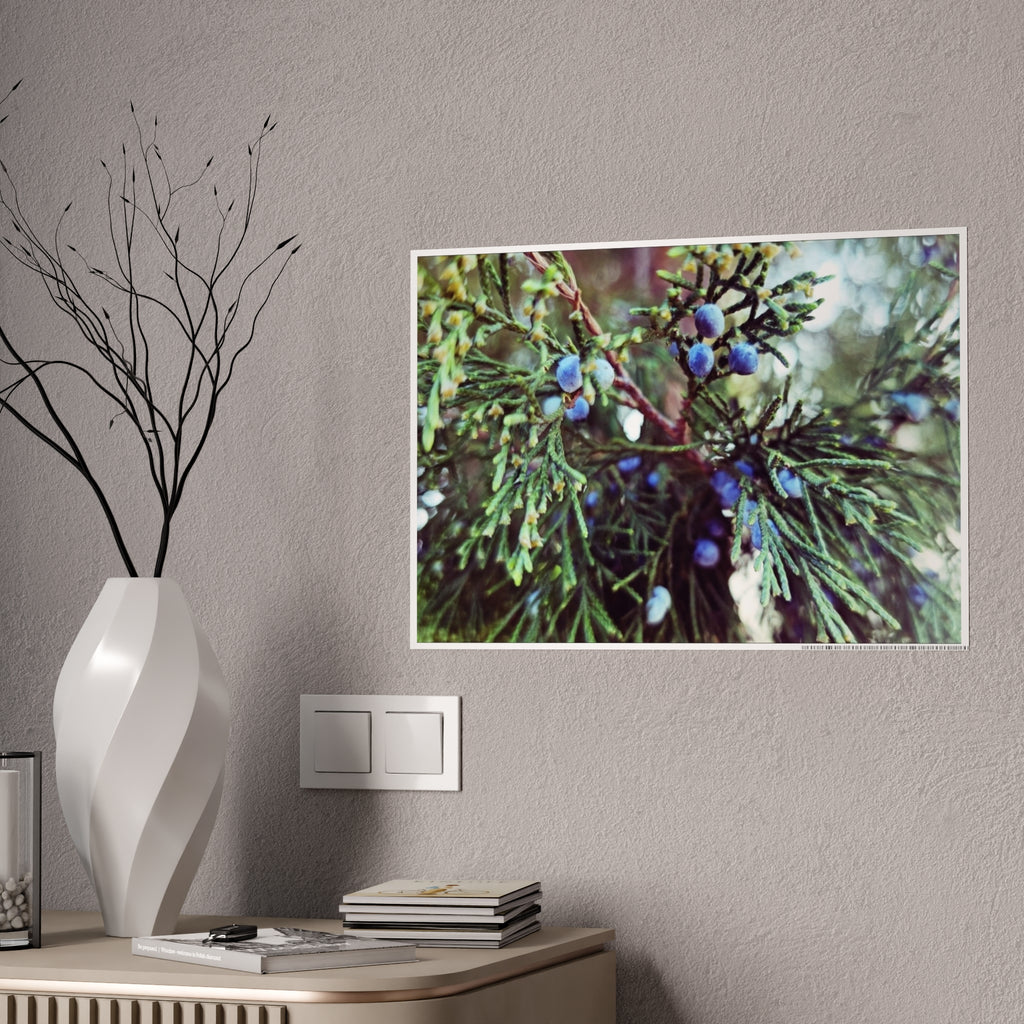 Glossy Nature Posters