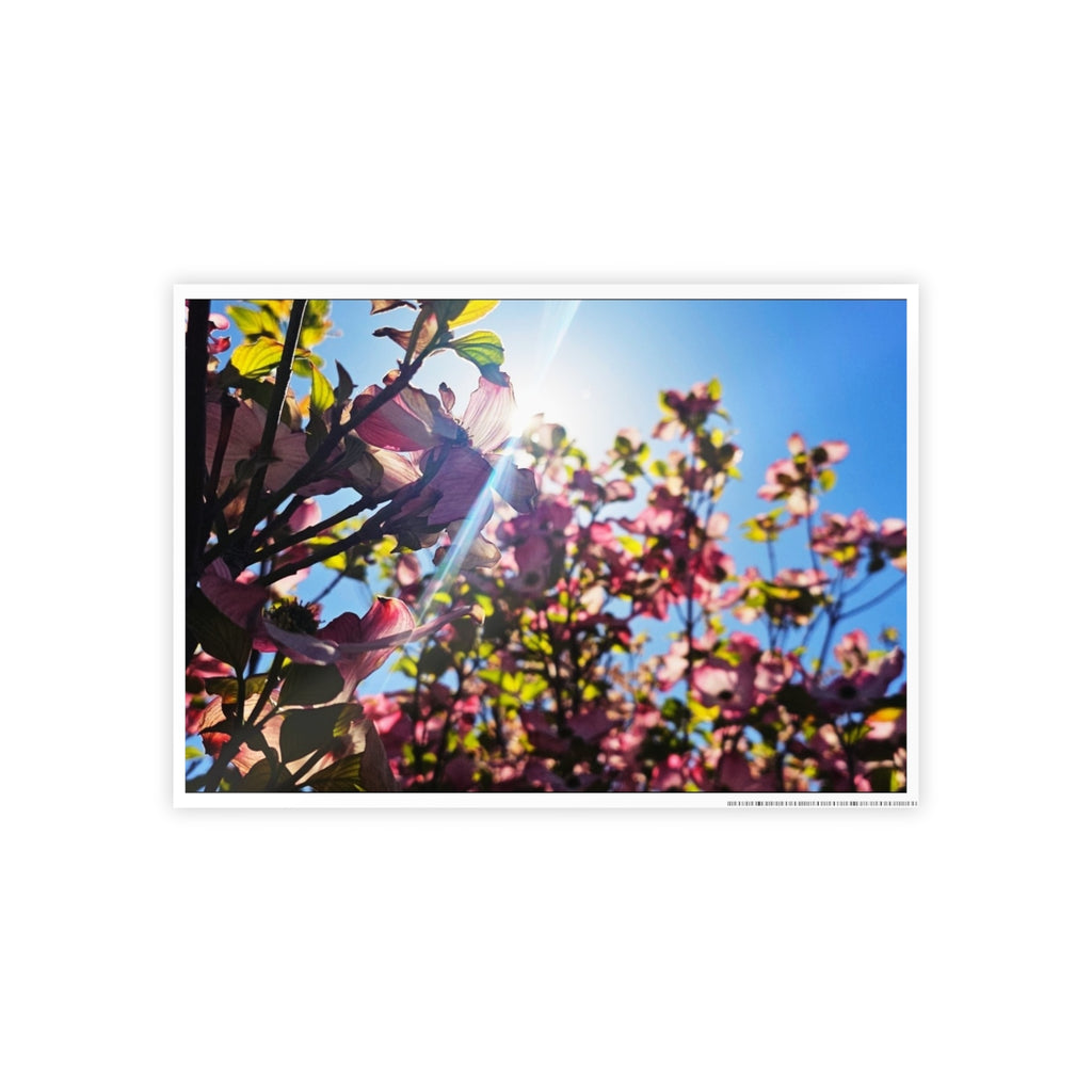 Blooming Spring Gloss Poster Art Print
