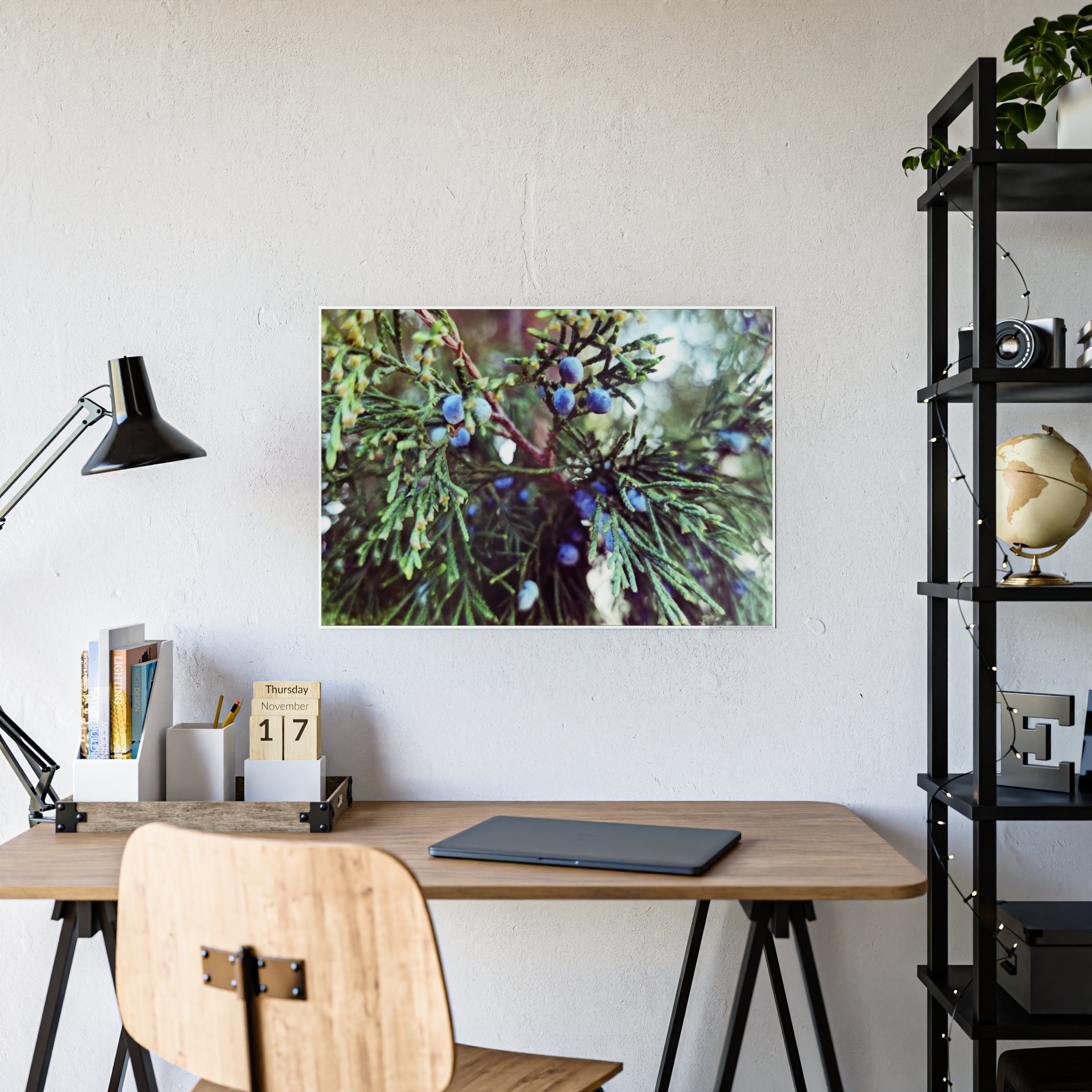 Glossy Nature Posters