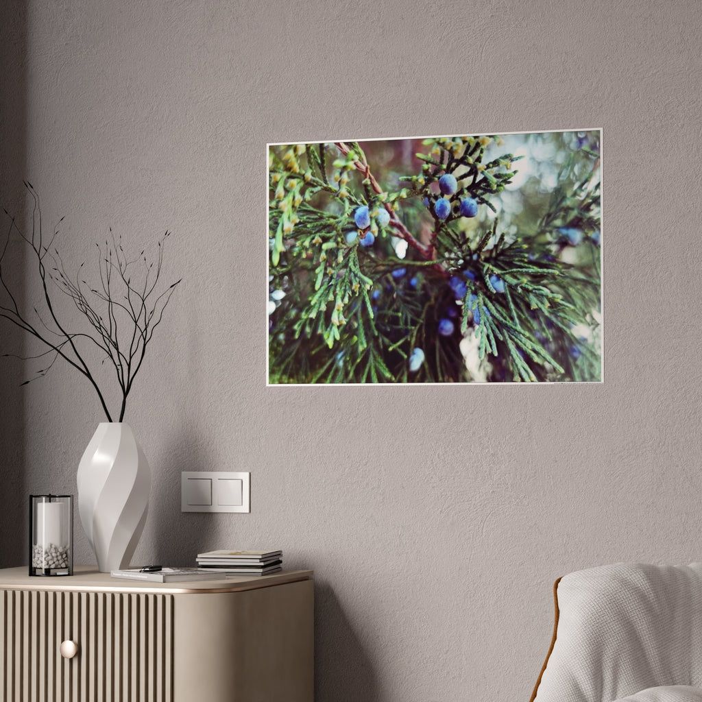 Glossy Nature Posters