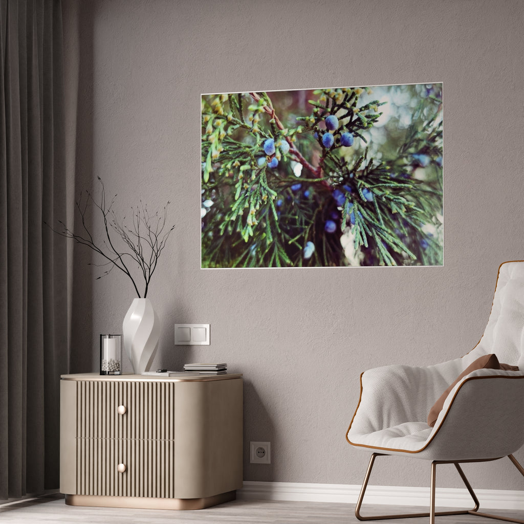 Glossy Nature Posters