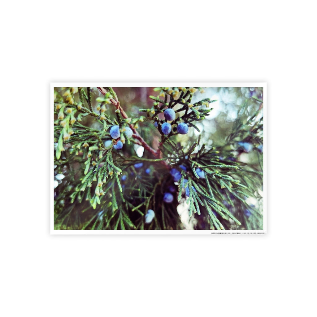 Glossy Nature Posters